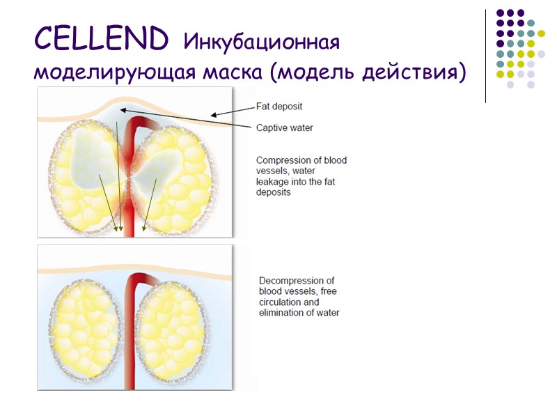 CELLEND Инкубационная моделирующая маска (модель действия)